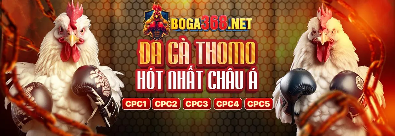 Hình ảnh tổng quan về chiến lược cá cược thể thao mới nhất OP88 2026